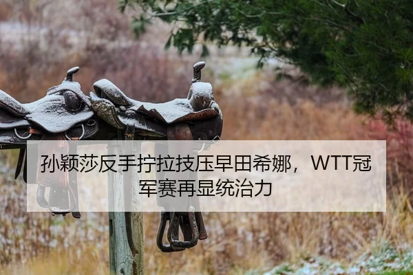 孙颖莎反手拧拉技压早田希娜，WTT冠军赛再显统治力