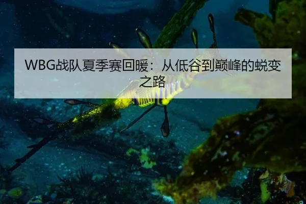 WBG战队夏季赛回暖：从低谷到巅峰的蜕变之路
