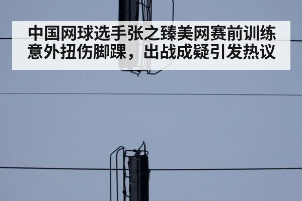 中国网球选手张之臻美网赛前训练意外扭伤脚踝，出战成疑引发热议