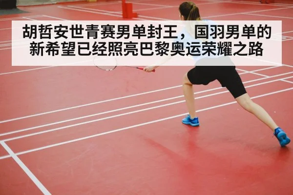 badminton court competition